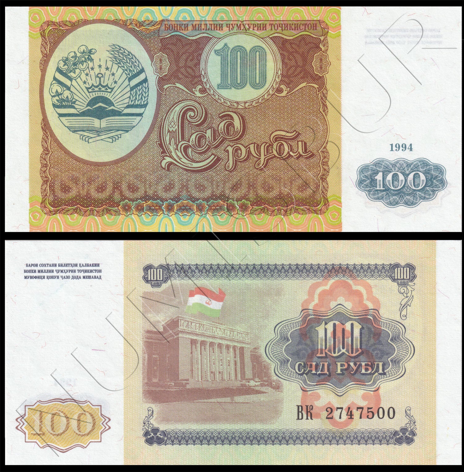 100 rublos TAJIKISTAN 1994 - Pick 6a