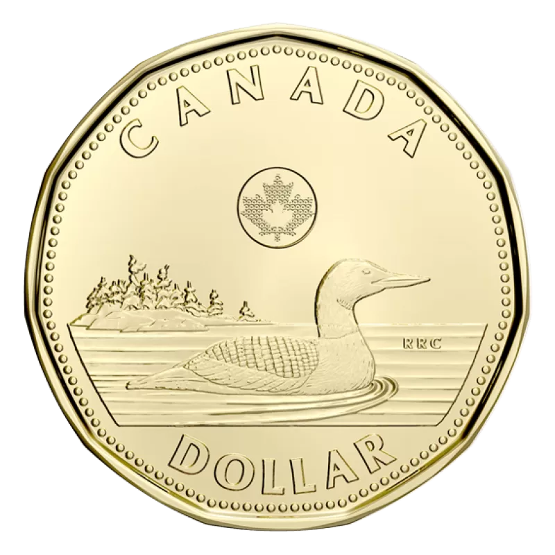 1 dólar CANADA 2022 - Common Loon