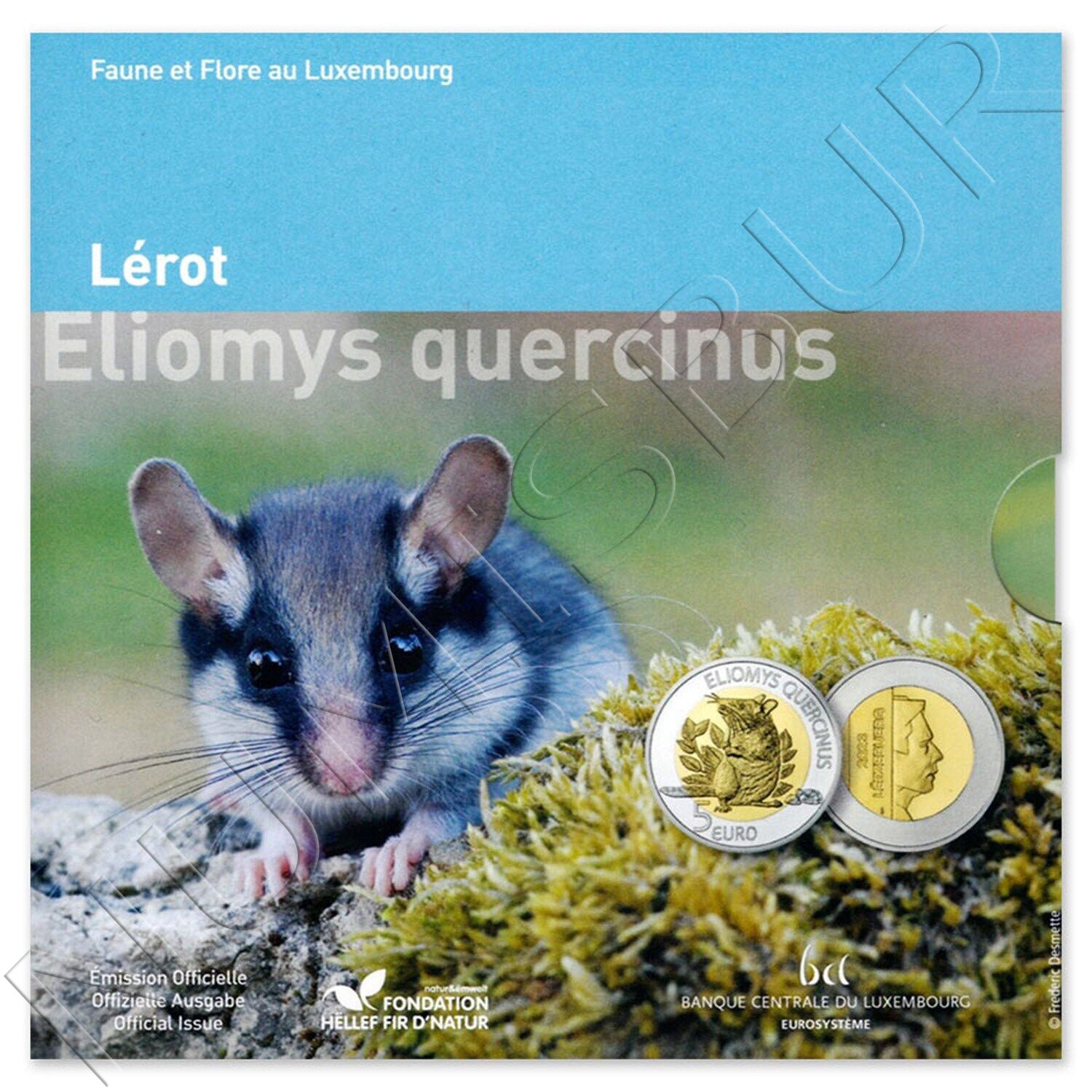 5 euros LUXEMBURGO 2023 - Eliomys Quercinus