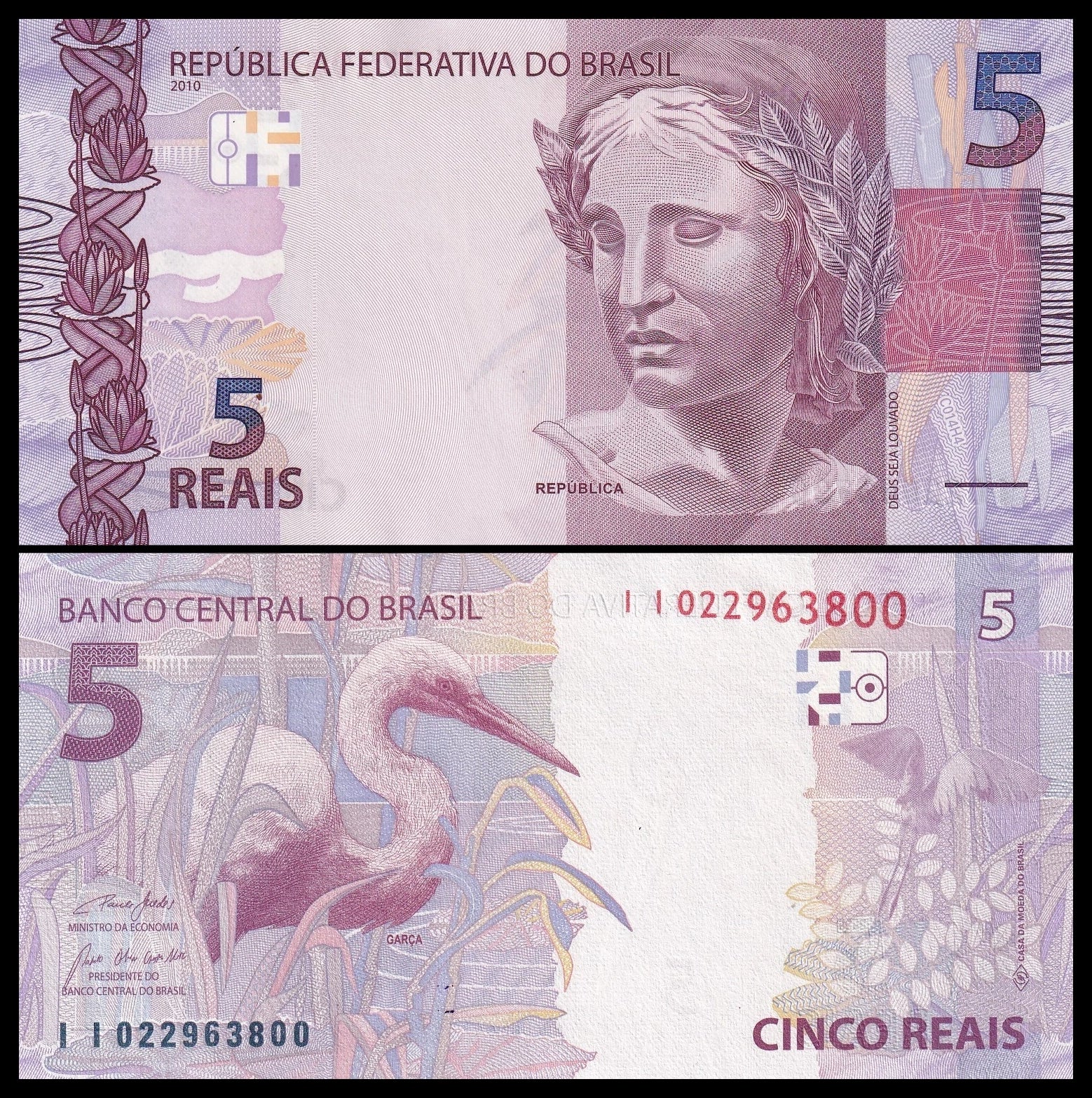 5 reales BRASIL 2010 - Pick 253g