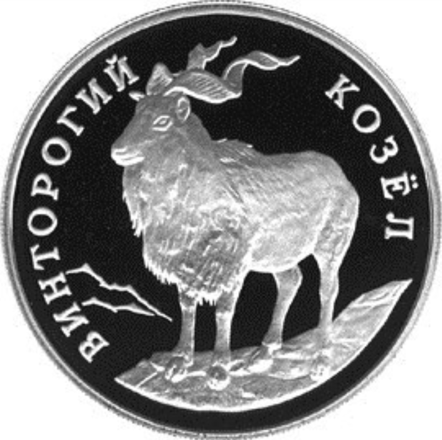 1 rublo plata RUSIA 1993 proof MARJOR (Capra falconeri) - LIBRO ROJO