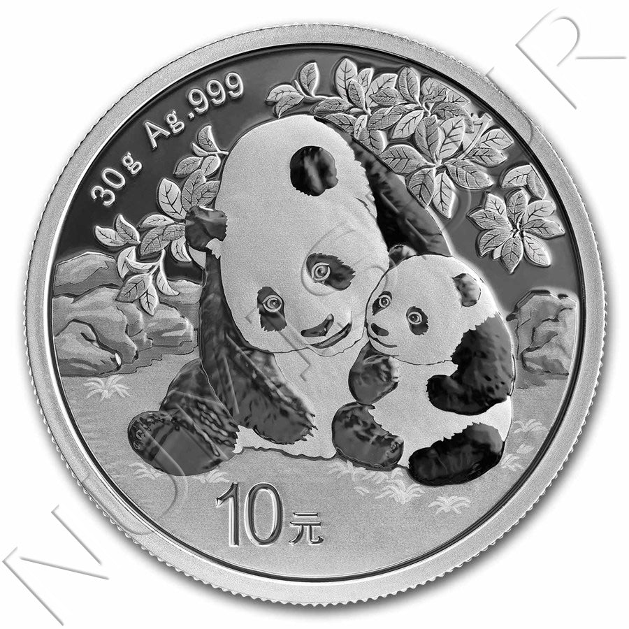 10 yuan CHINA 2024 - Panda 30 gramos plata