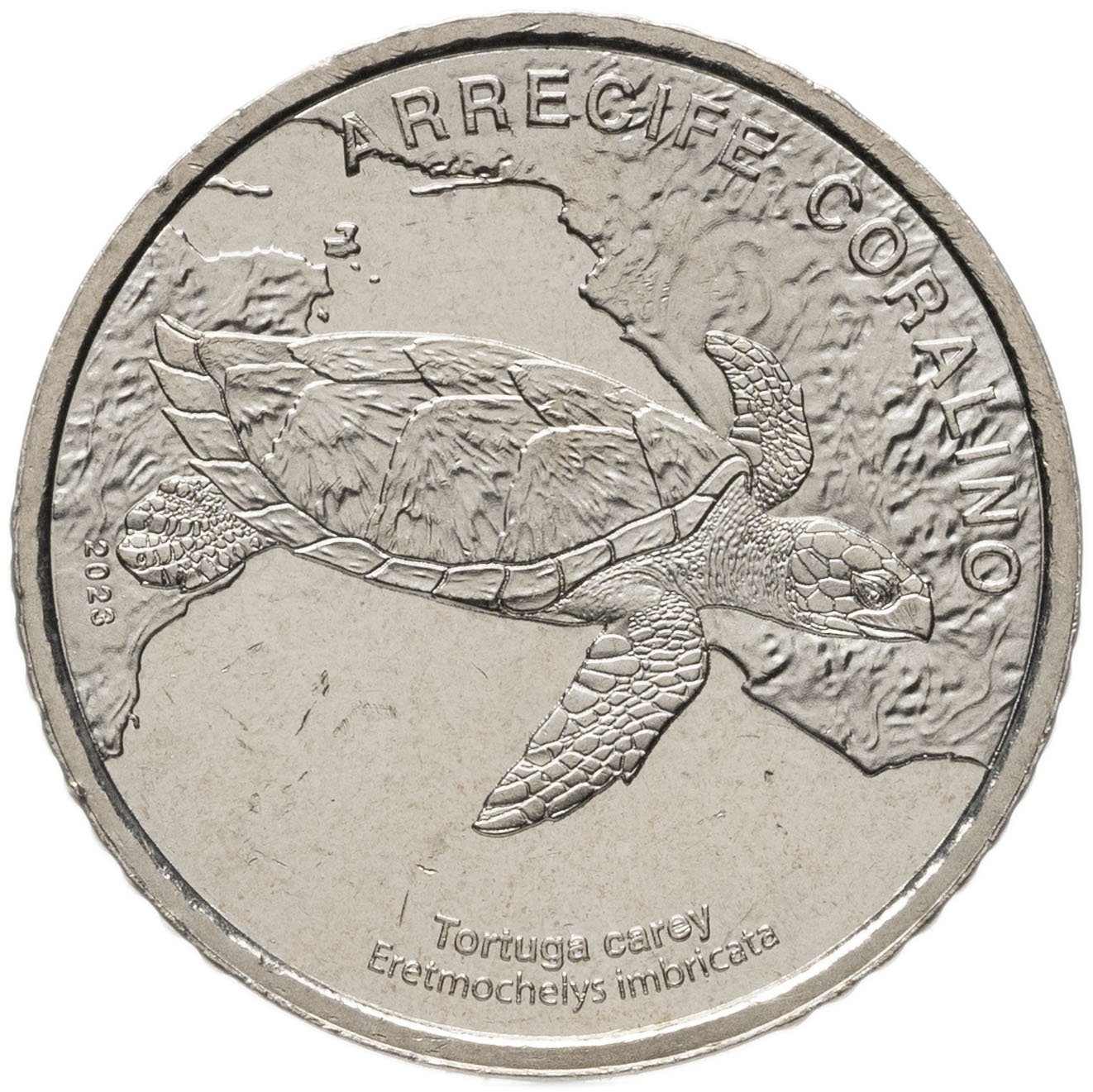 50 Colones Costa Rica Conmemorativa Tortuga carey 2023 (2025)