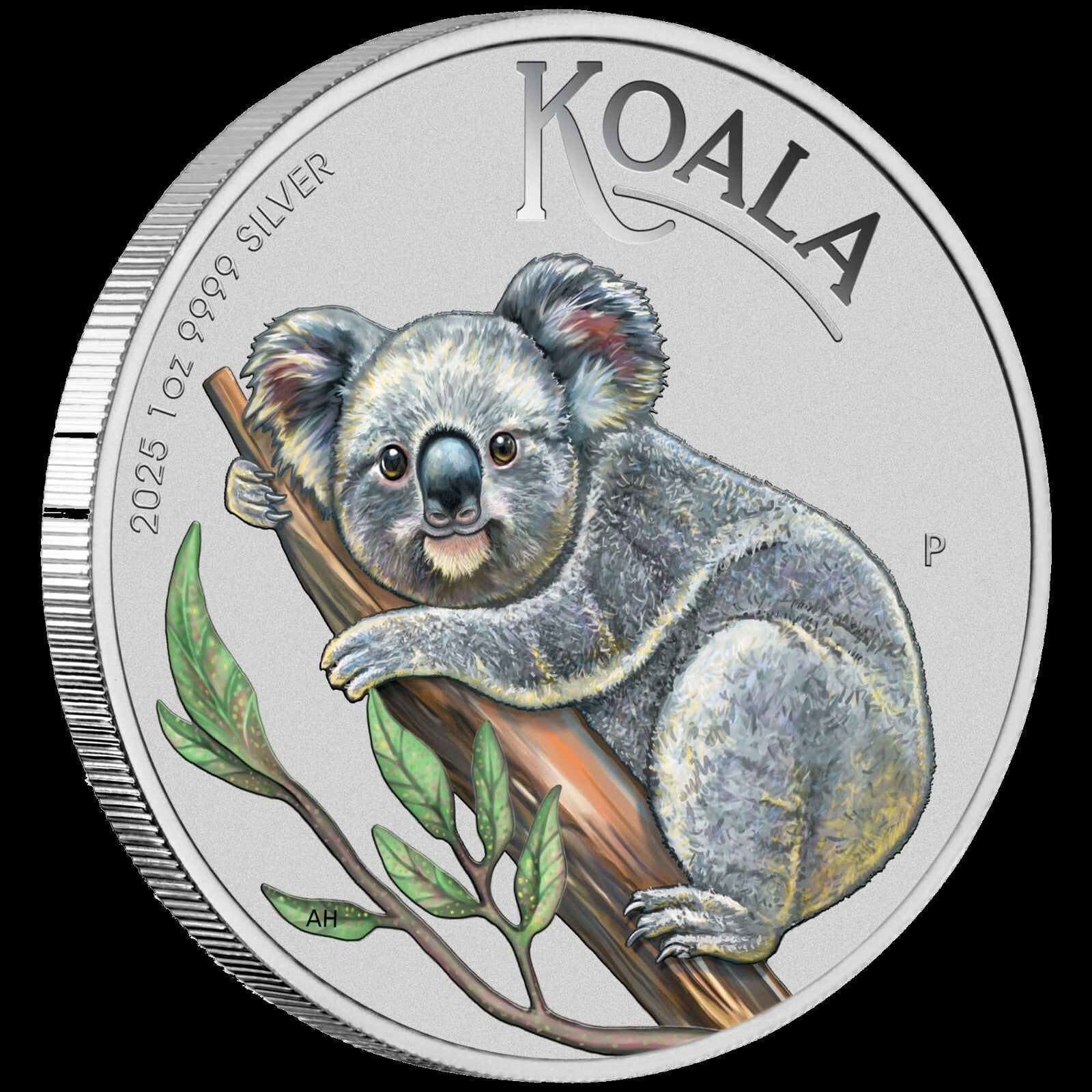 AUSTRALIA 1 dollar plata 2025 KOALA color BRISBANE MONEY EXPO - ANDA SPECIAL