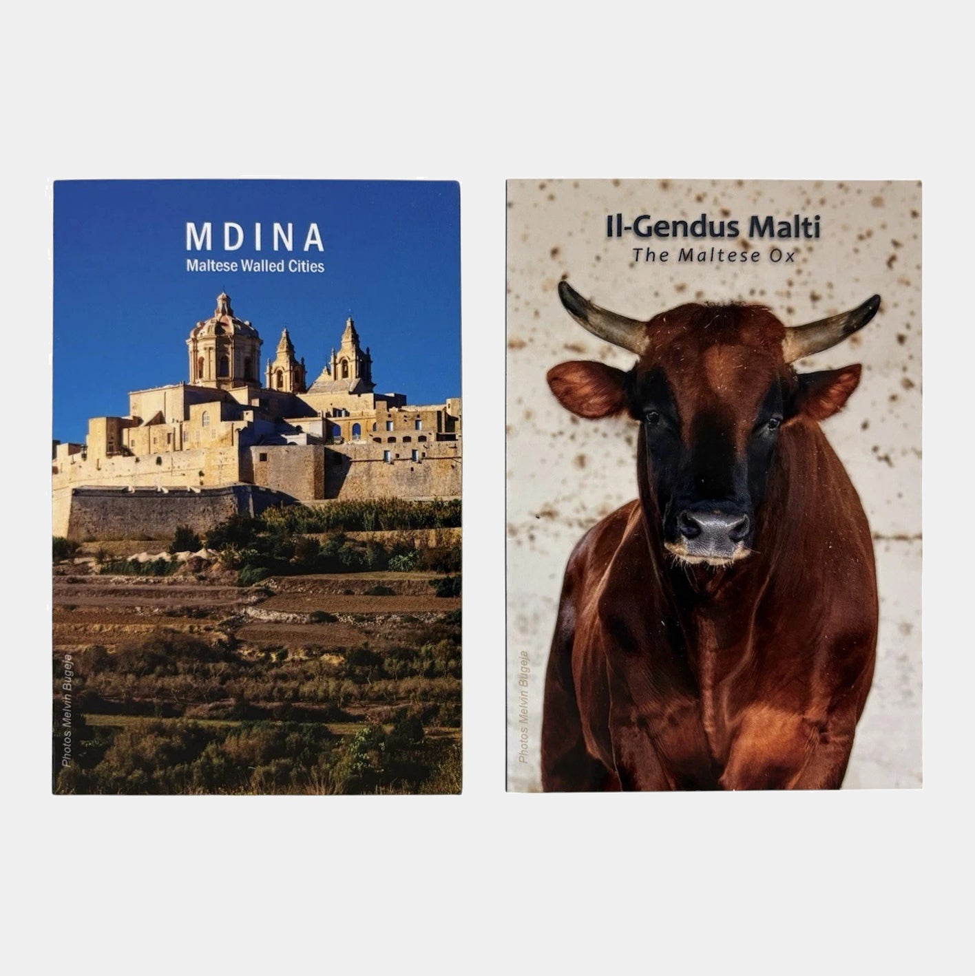2 euros MALTA 2025 - El Buey Maltés & Ciudad de Mdina (BU)