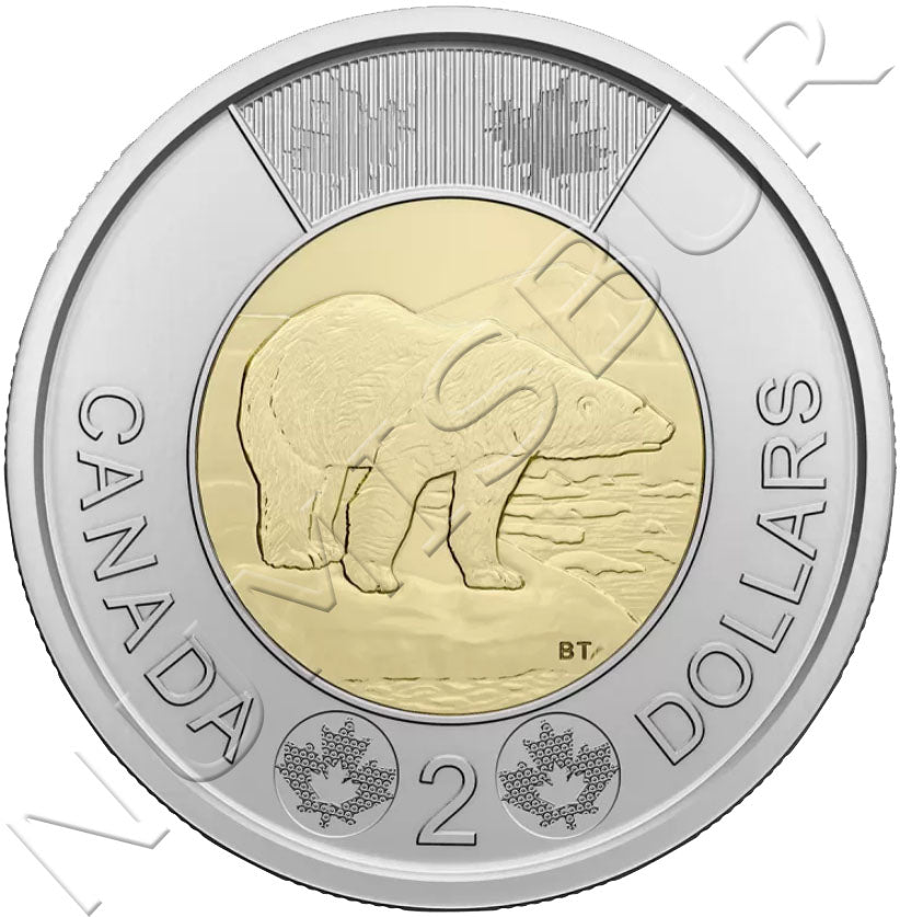 2 dólares CANADÁ 2023 - Oso polar (2022 Isabel II)