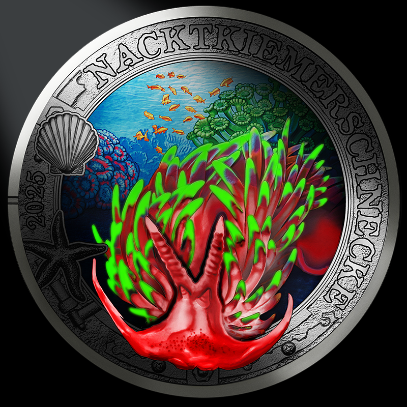 3 euros AUSTRIA 2025 - Nudibranquio Doridio