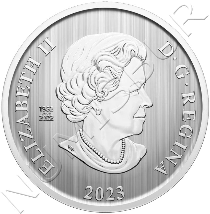 50 céntimos CANADA 2023 - Trineo navidad (Moneda holográfica 3D)